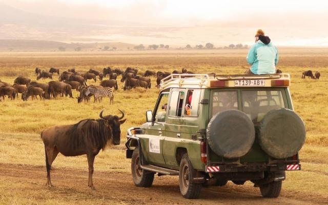 Ngorongoro National Park Ngorongoro National Park